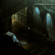 Illustration for article titled emBioshock/em And emBioshock Infinite/em As 2D Isometric RPGS